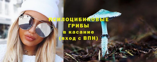 амф Абдулино