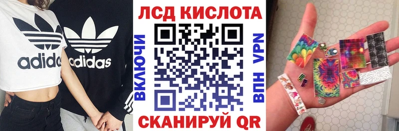 дарнет шоп  Назрань  Наркотические марки 1500мкг 