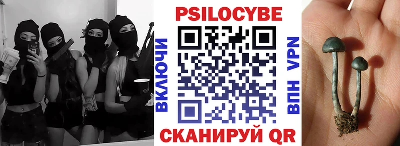 магазин  наркотиков  Назрань  Псилоцибиновые грибы мухоморы 